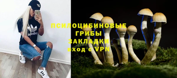 spice Алексин