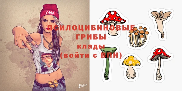 spice Алексин
