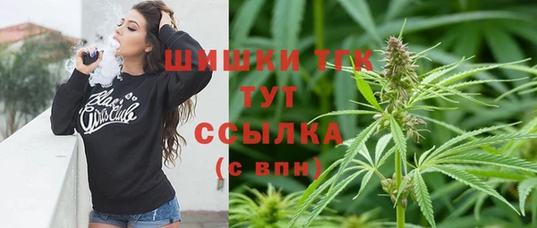 spice Алексин