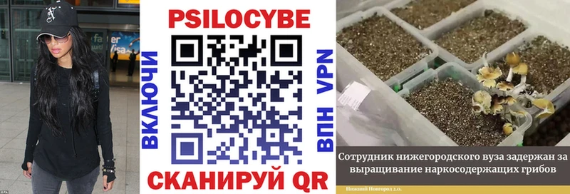 Псилоцибиновые грибы MAGIC MUSHROOMS  MEGA зеркало  Змеиногорск 